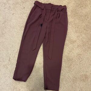 Express Purple Ankle Cropped Pants with Relaxed Fit